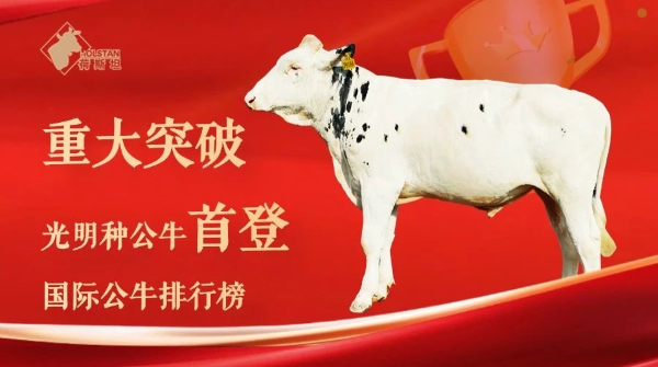 光明乳业种公牛首登国际百强榜，实现中国奶牛育种历史性突破